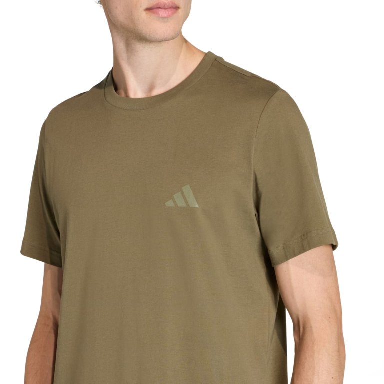 Футболка Adidas Terrex Mountain Graphic Tee M - зелена