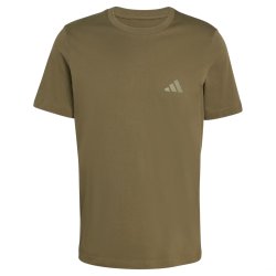 Футболка Adidas Terrex Mountain Graphic Tee M - зелена
