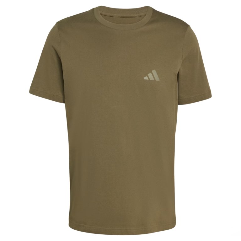 Футболка Adidas Terrex Mountain Graphic Tee M - зелена