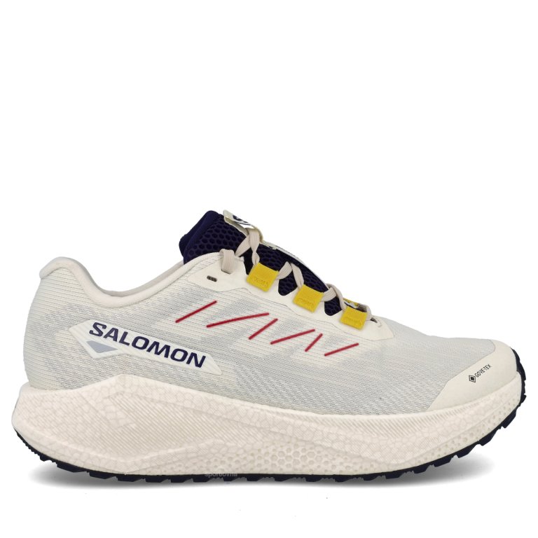 Кросівки Salomon Aero Blaze 3 Grvl GTX M - біло/фіолетово/жовті
