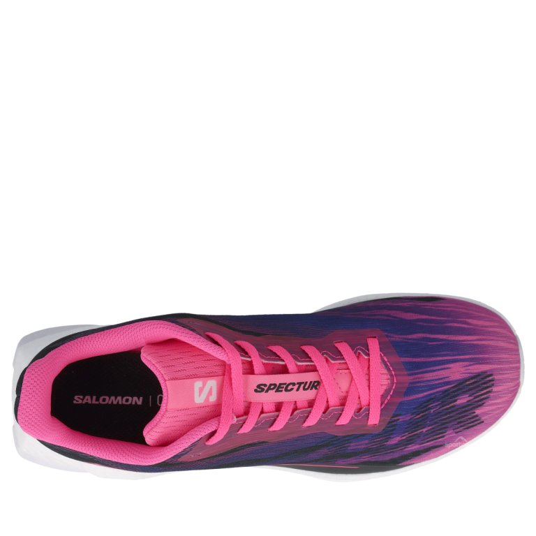 Кросівки Salomon Spectur 3 W - сині