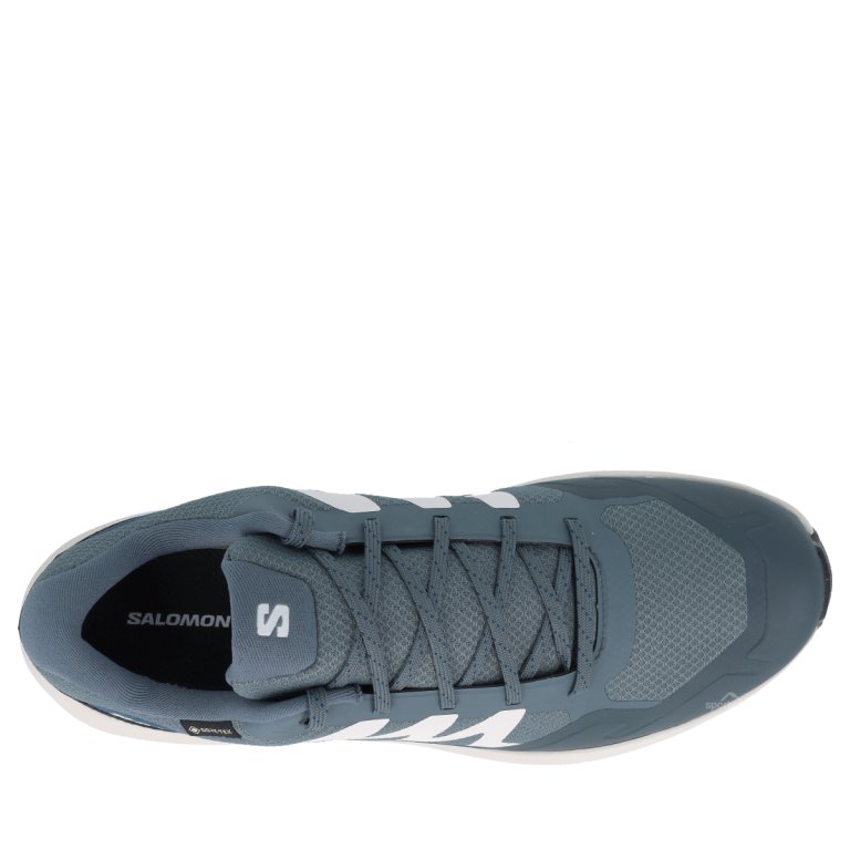 Взуття Salomon Outscape Gtx M - синє