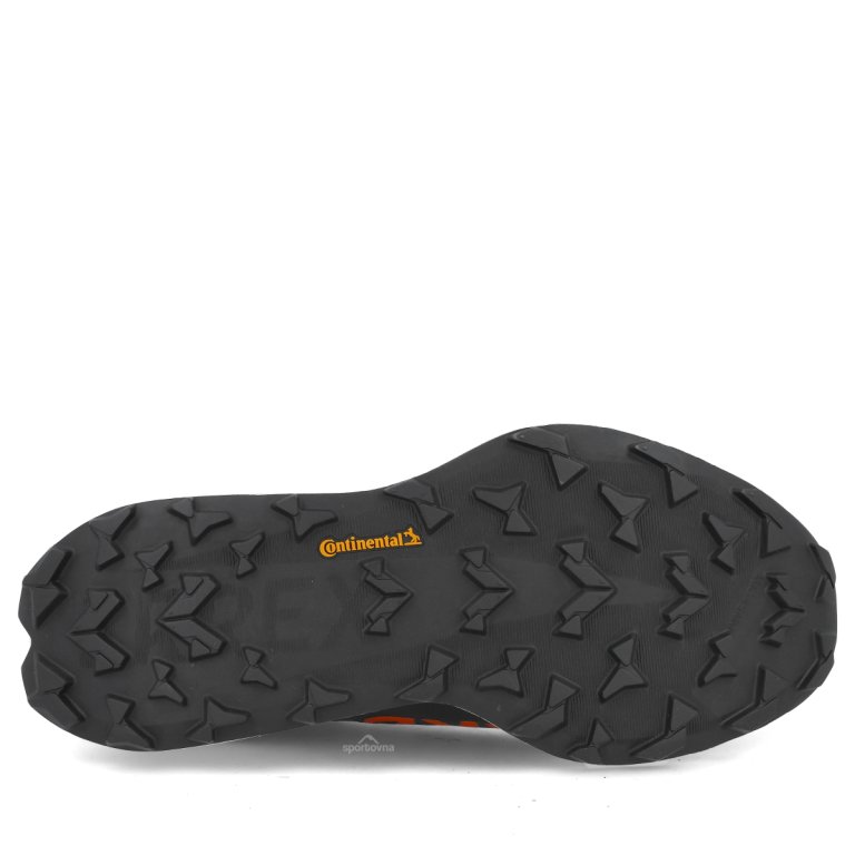 Кросівки Adidas Terrex Agravic TT M - сині