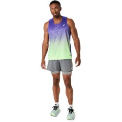 Шорти Asics Road 2-N-1 5In Short M - сірі