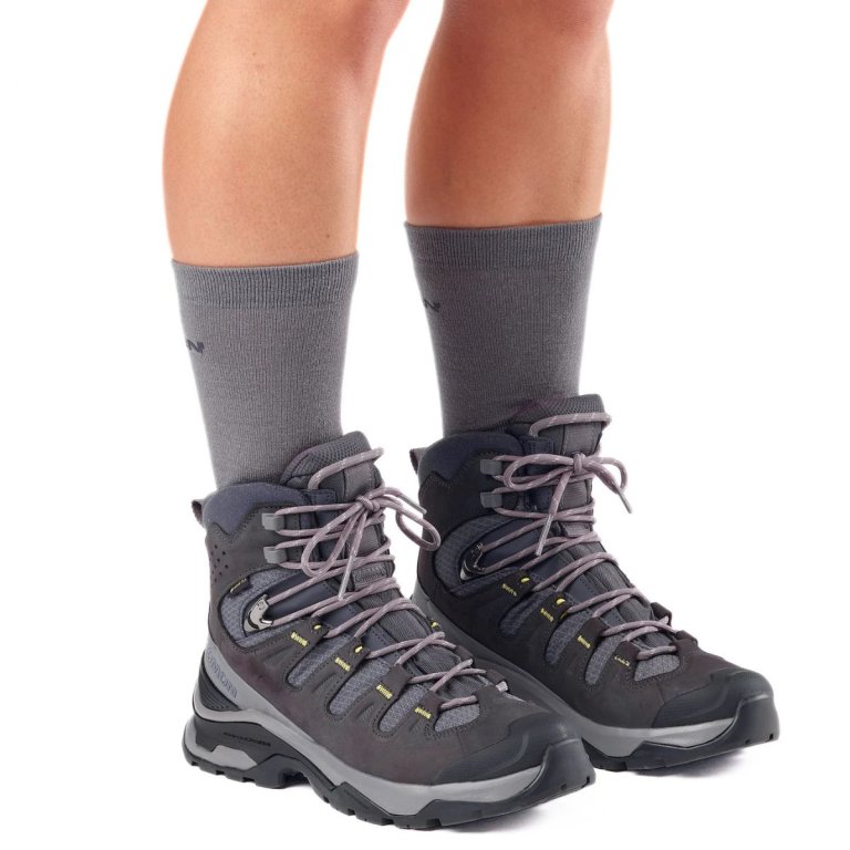 Черевики Salomon Quest 5 GTX W - сірі