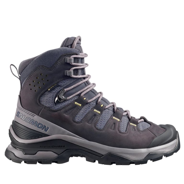 Черевики Salomon Quest 5 GTX W - сірі