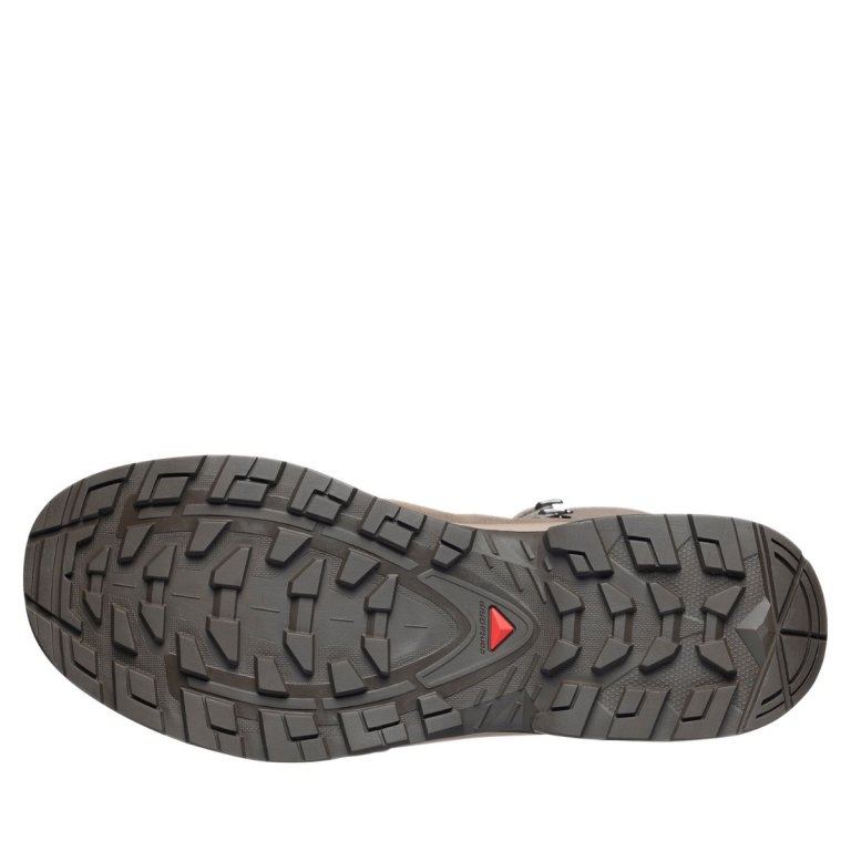 Черевики Salomon Quest Echo GTX M - коричневі