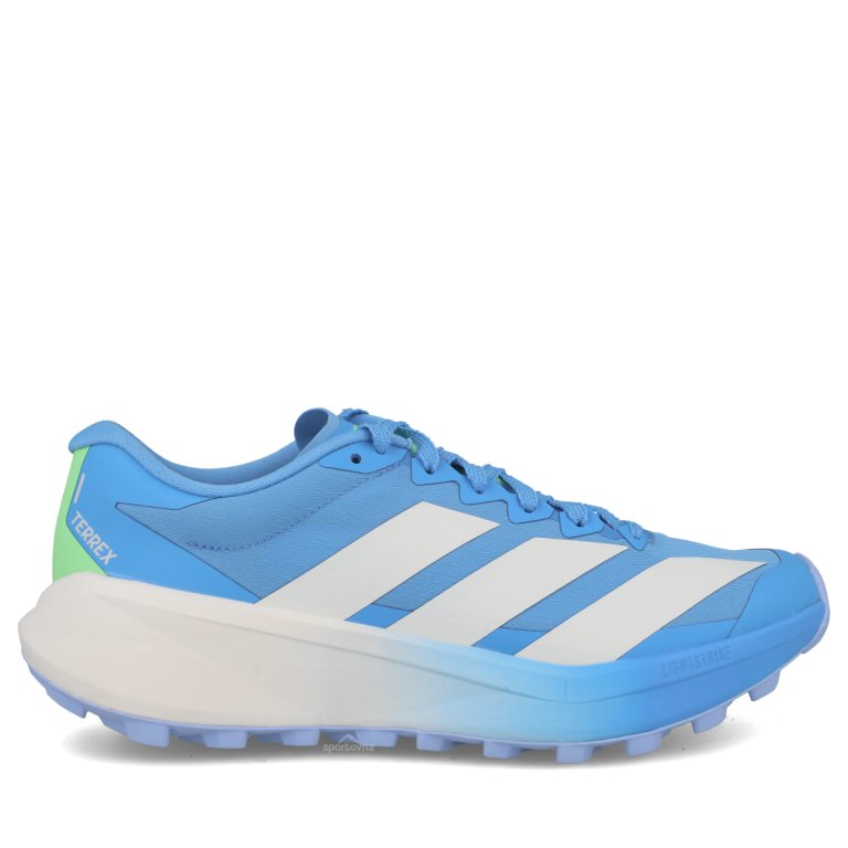 Кросівки Adidas Terrex Agravic 4 W - синьо/білі