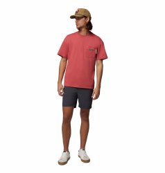 Шорти Columbia ROC™ Lite Short M - сірі