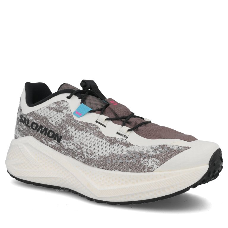 Salomon Aero Glide 4 Grvl W - бежева/сіра