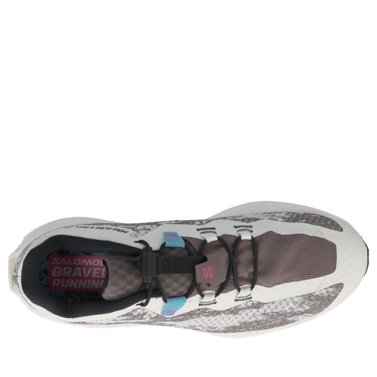 Salomon Aero Glide 4 Grvl W - бежева/сіра