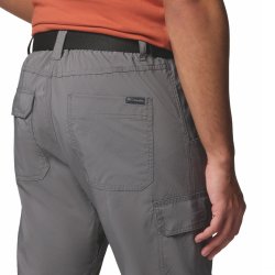 Штани Columbia Silver Ridge™ Utility Pant M - сірі (збільшена довжина)