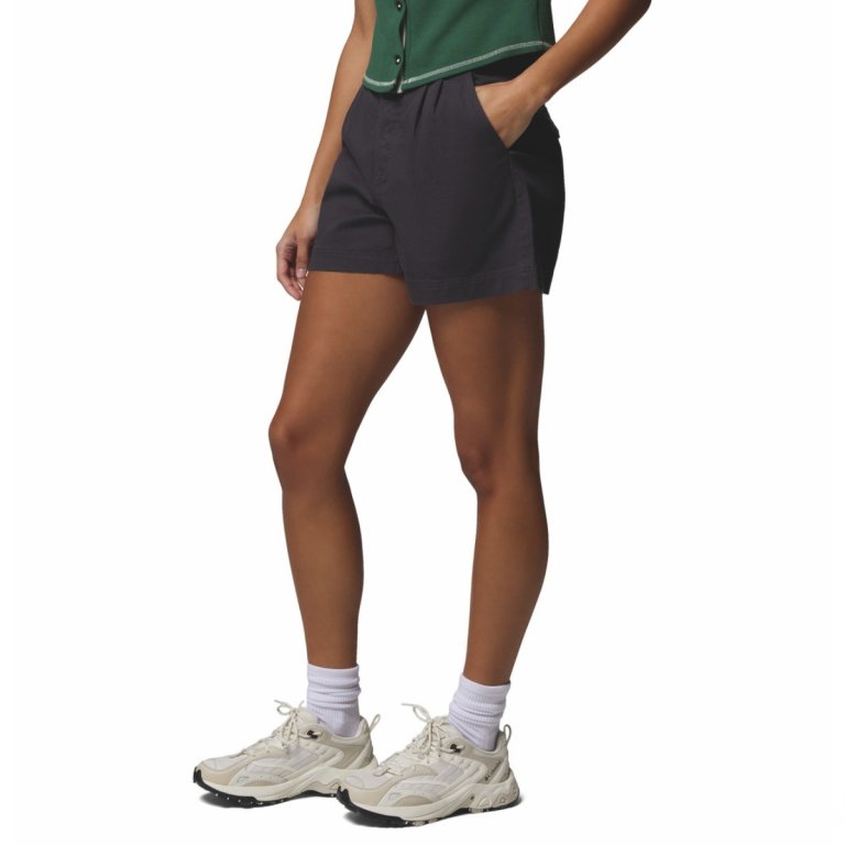 Шорти Columbia Acker Rock™ Twill Short W - сірі