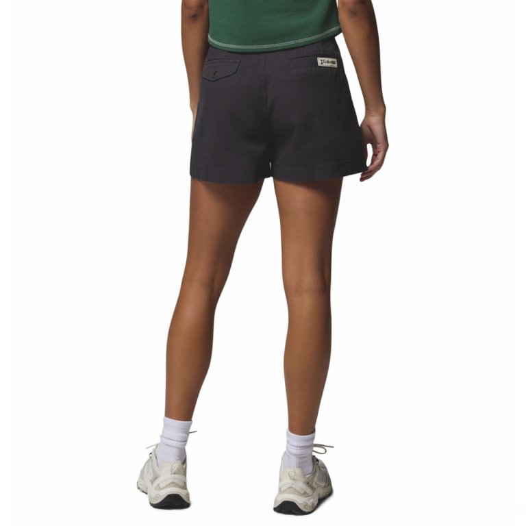 Шорти Columbia Acker Rock™ Twill Short W - сірі