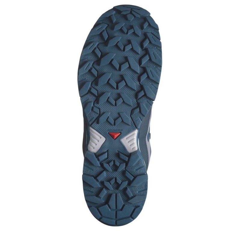 Взуття Salomon X Ultra 360 GTX M - синє / чорне