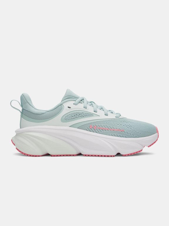 Черевики Under Armour Rogue 6 Wmn Blue