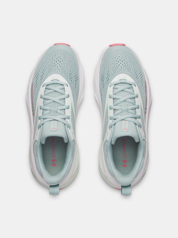 Черевики Under Armour Rogue 6 Wmn Blue