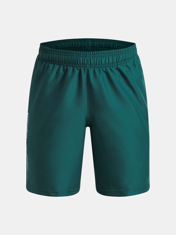 Under Armour Tech Woven Wordmark Short Jr gray green