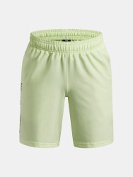 Under Armour Tech Woven Wordmark Short Jr gray green