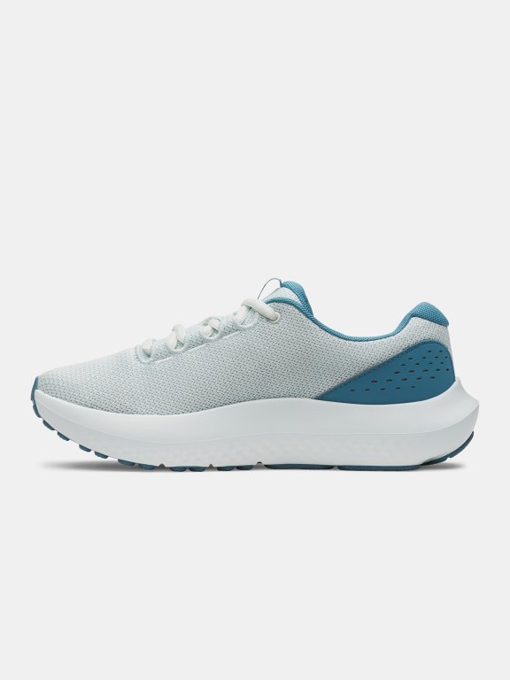 Черевики Under Armour Charged Surge 4 Wmn gray green