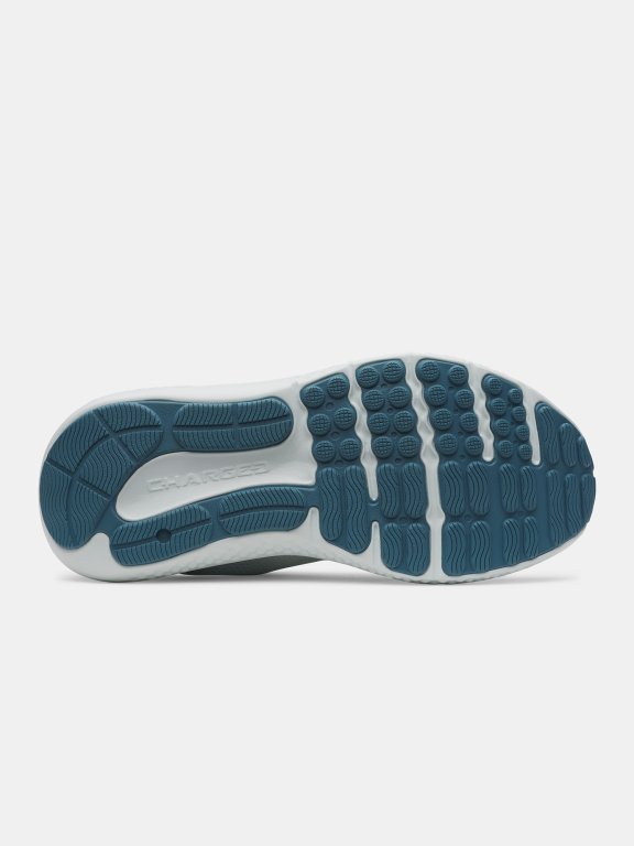 Черевики Under Armour Charged Surge 4 Wmn gray green