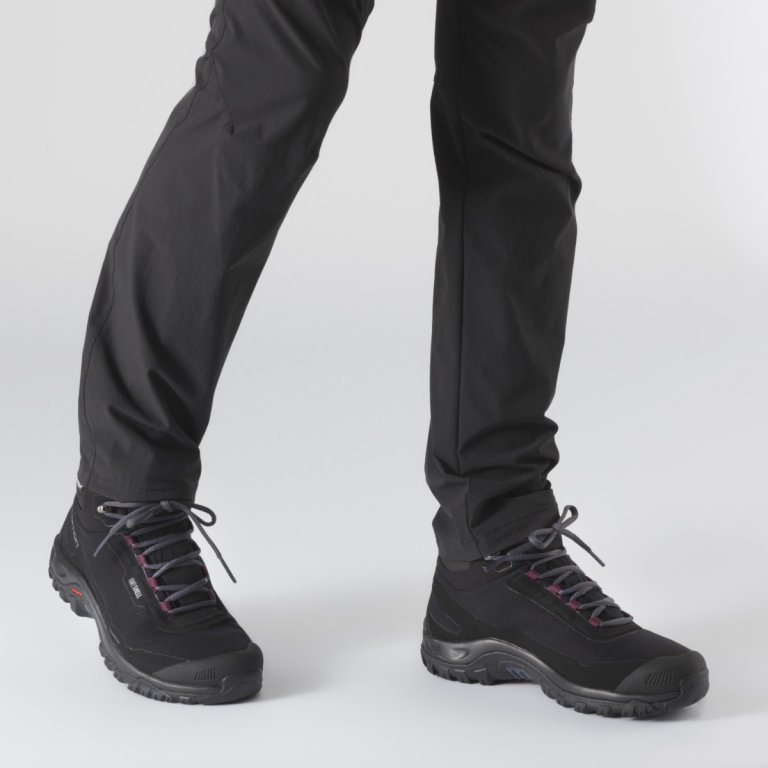Взуття Salomon Shelter CS WP W - чорний/винний