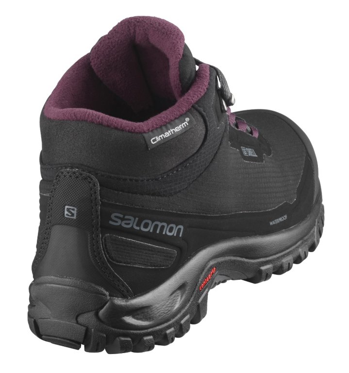 Взуття Salomon Shelter CS WP W - чорний/винний