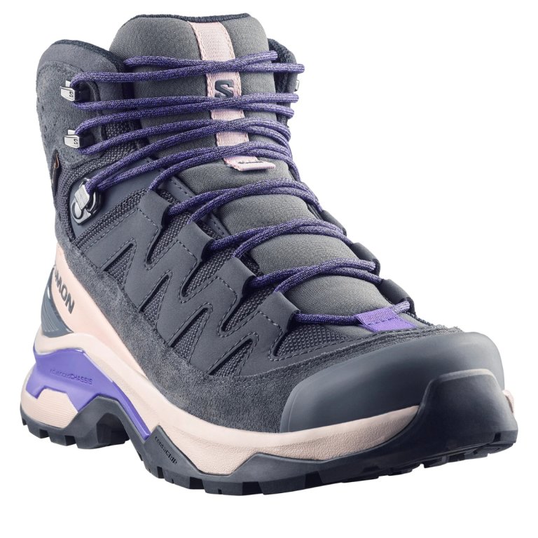 Взуття Salomon Quest Echo Gtx W - фіолетове