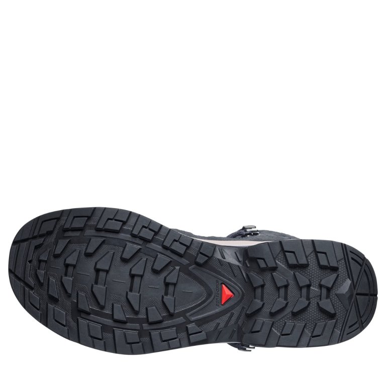 Взуття Salomon Quest Echo Gtx W - фіолетове