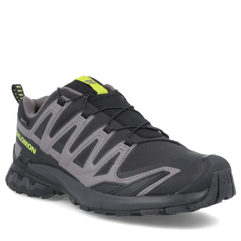 Кросівки Salomon Xa Pro 3D V9 GTX M - чорно/сірі