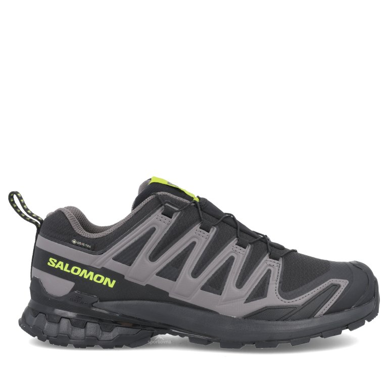 Кросівки Salomon Xa Pro 3D V9 GTX M - чорно/сірі