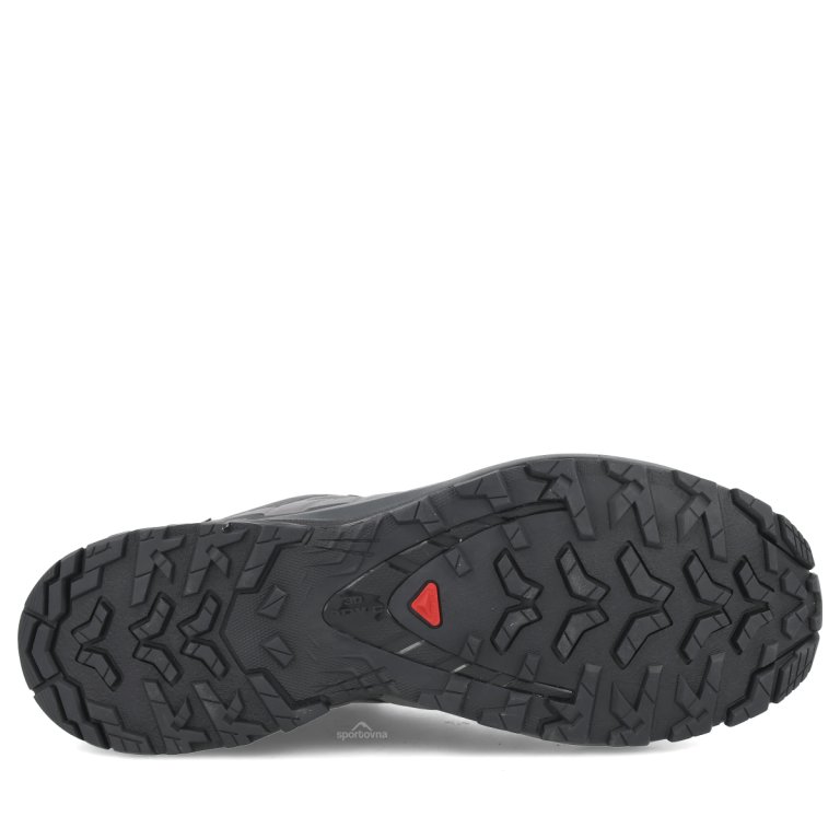 Кросівки Salomon Xa Pro 3D V9 GTX M - чорно/сірі