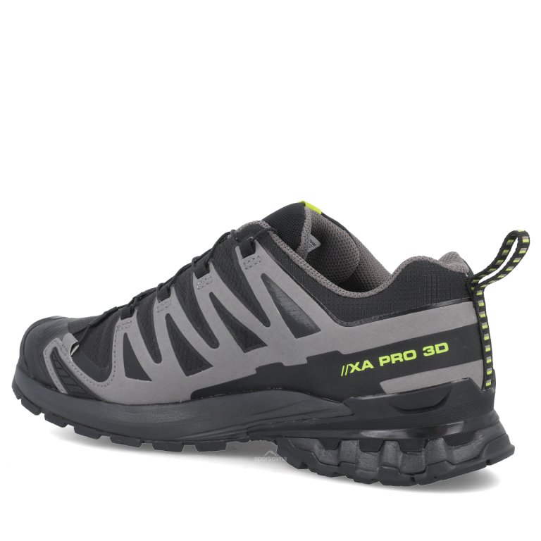 Кросівки Salomon Xa Pro 3D V9 GTX M - чорно/сірі