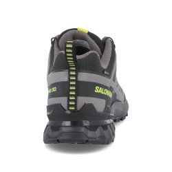 Кросівки Salomon Xa Pro 3D V9 GTX M - чорно/сірі