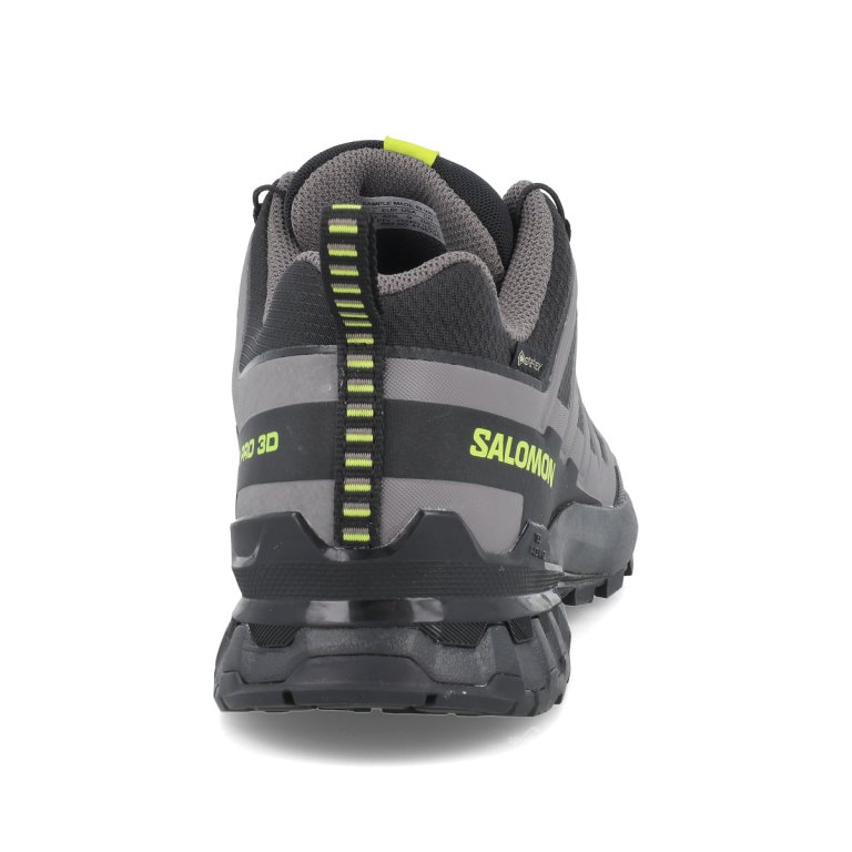 Кросівки Salomon Xa Pro 3D V9 GTX M - чорно/сірі