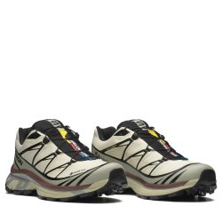 Кросівки Snkrs Salomon Xt-6 Gtx - коричневі