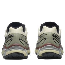 Кросівки Snkrs Salomon Xt-6 Gtx - коричневі