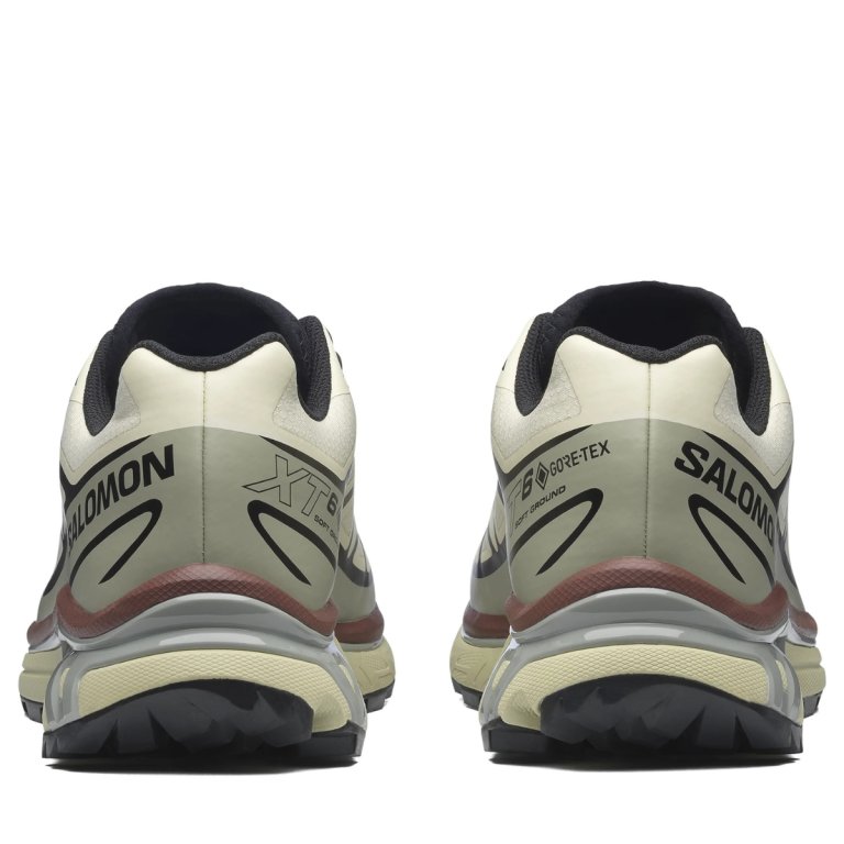 Кросівки Snkrs Salomon Xt-6 Gtx - коричневі