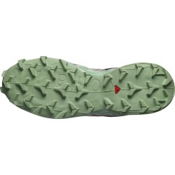 Obuv Salomon Speedcross 6 W - castlerock/vanilla ice/smoke - testovacia