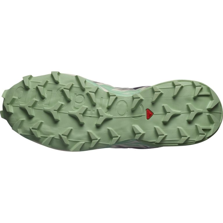 Obuv Salomon Speedcross 6 W - castlerock/vanilla ice/smoke - testovacia