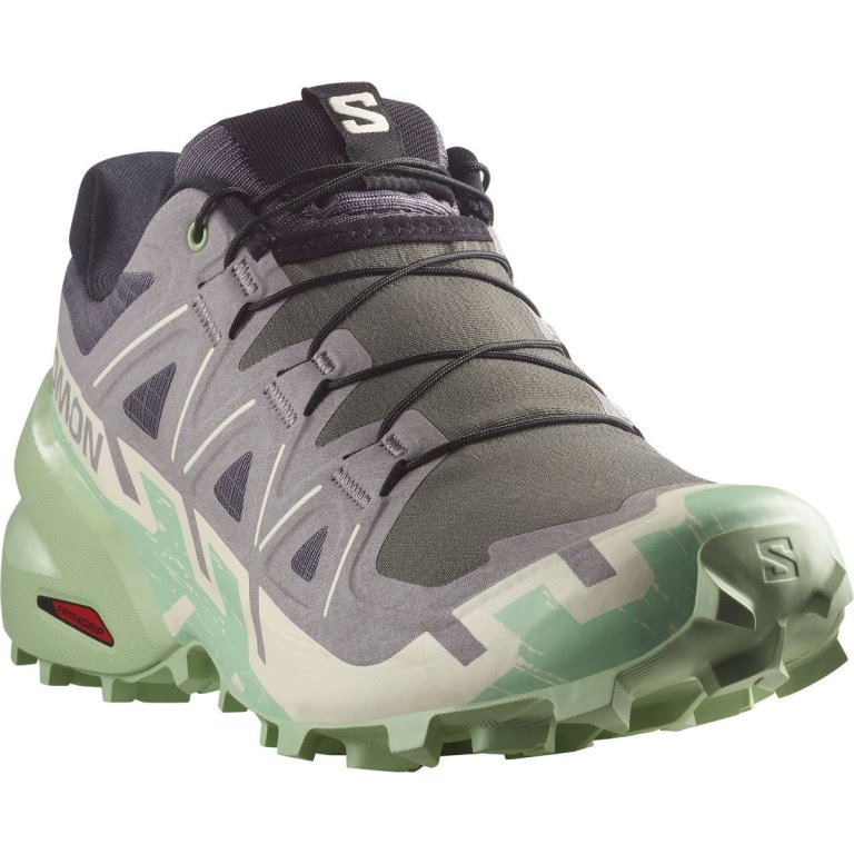 Obuv Salomon Speedcross 6 W - castlerock/vanilla ice/smoke - testovacia