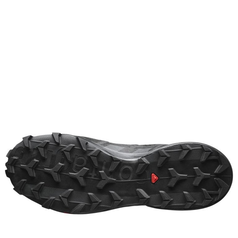 Взуття Salomon Speedcross 6 M - чорний