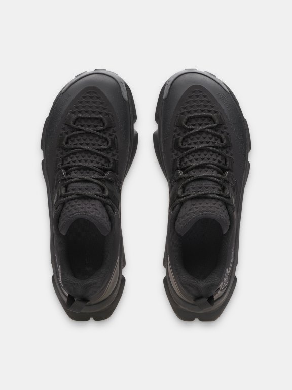 Черевики Under Armour Charged Expanse Low WP Man black