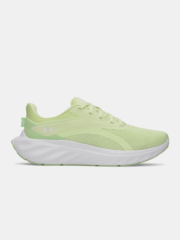 Черевики Under Armour Ascend Wmn gray green