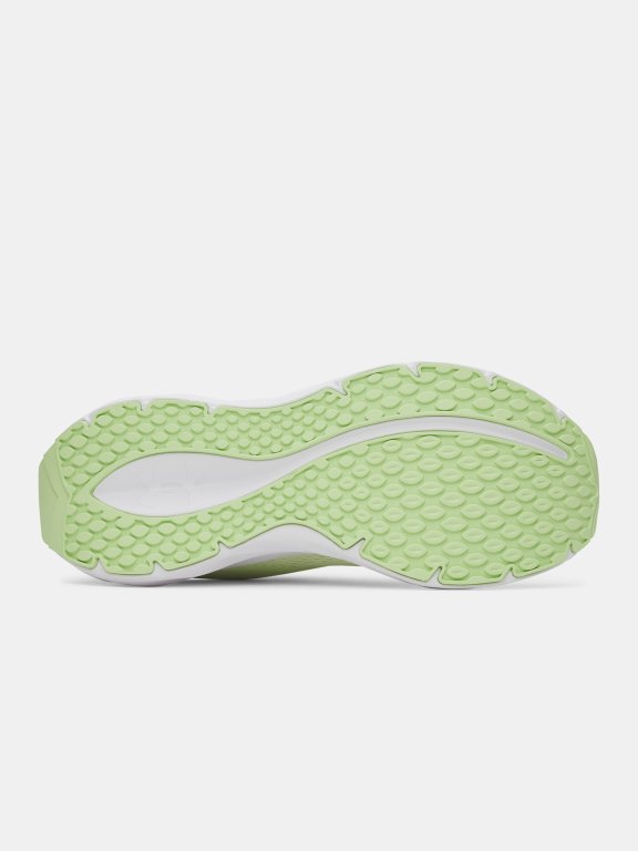 Черевики Under Armour Ascend Wmn gray green