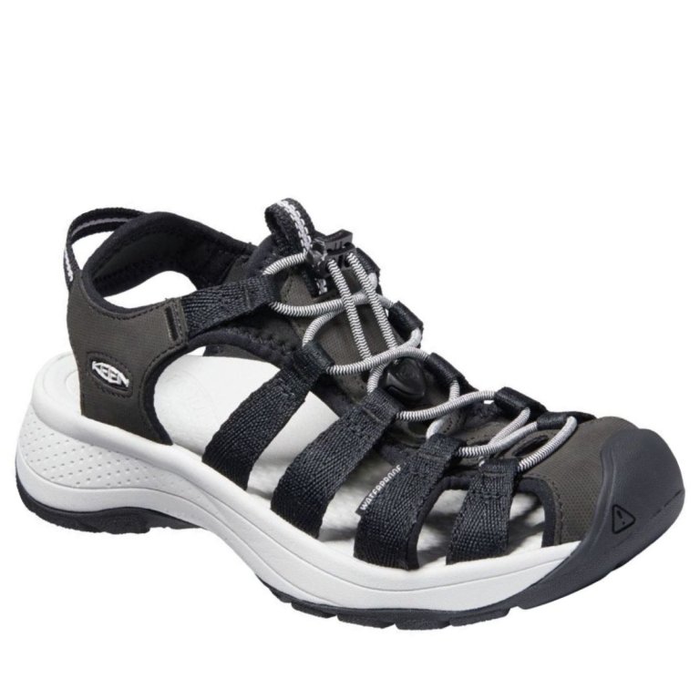 Взуття жіноче Keen Astoria West Sandal W - чорне/сіре