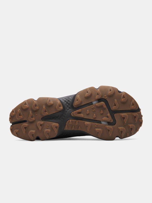 Черевики Under Armour Charged Expanse Low WP Wmn black
