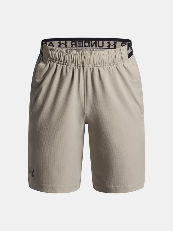 Шорти Under Armour Vanish Shorts Jr Brown