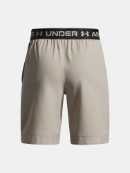 Шорти Under Armour Vanish Shorts Jr Brown