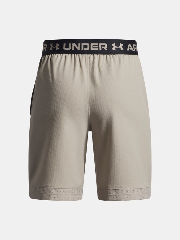 Шорти Under Armour Vanish Shorts Jr Brown